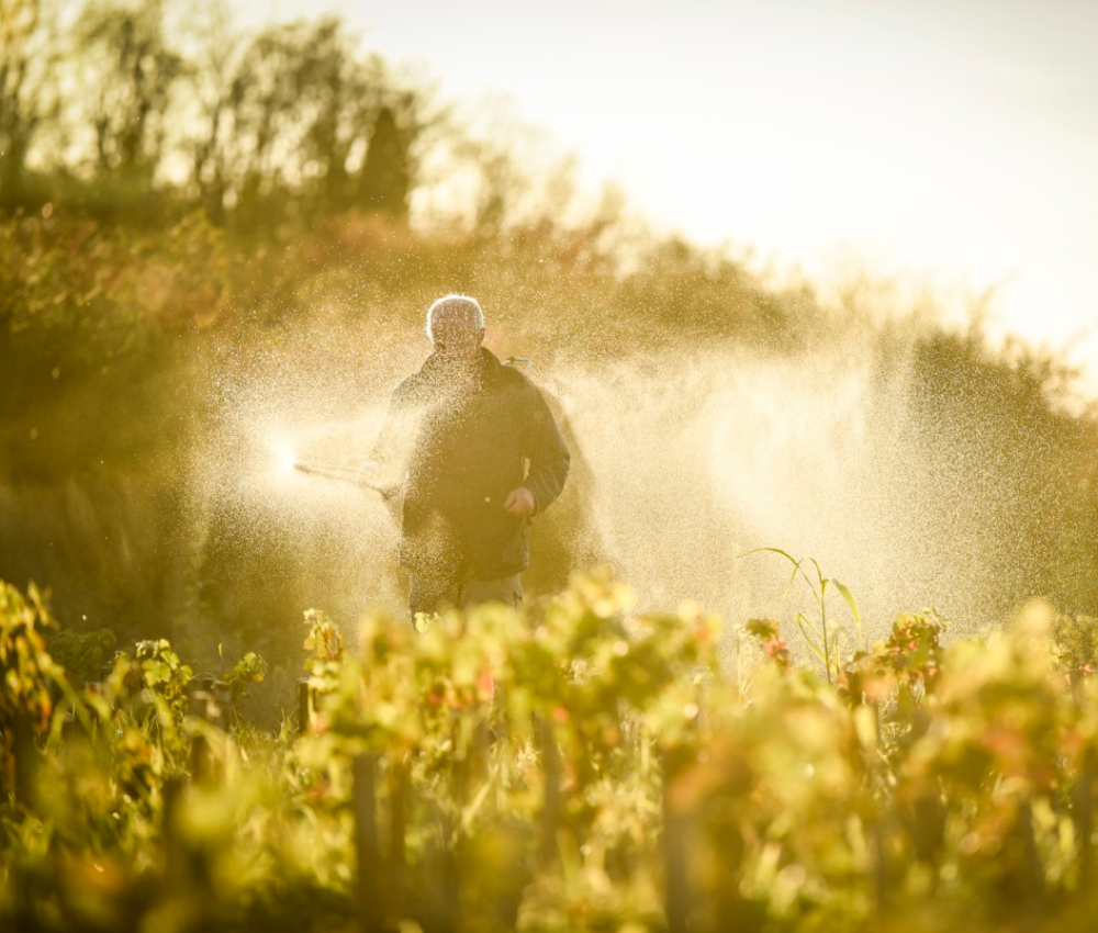 Clos Puy Arnaud