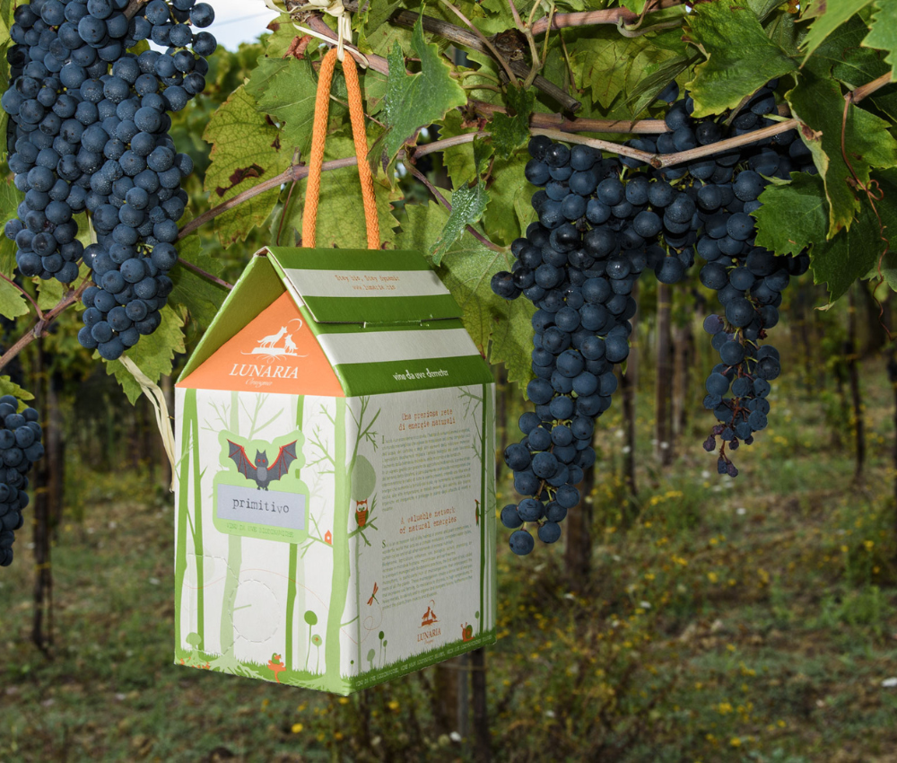 Cantina Orsogna