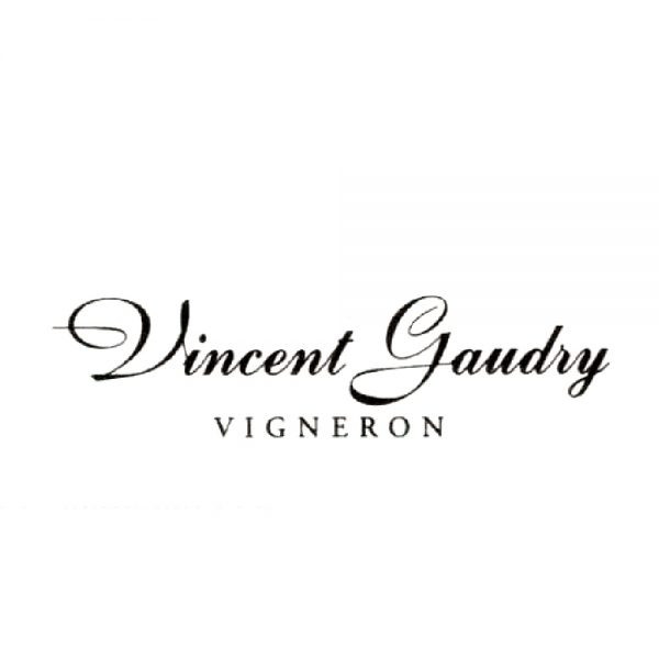 Vincent Gaudry