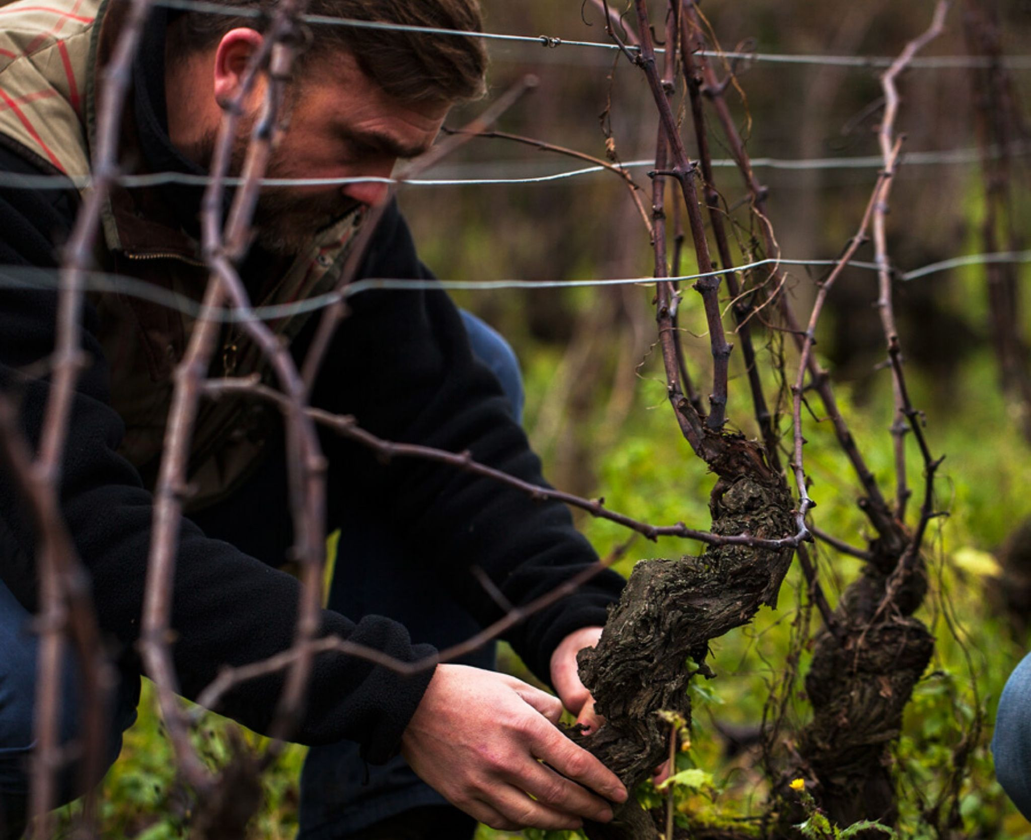 Domaine de Villaine