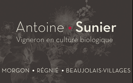 Antoine Sunier