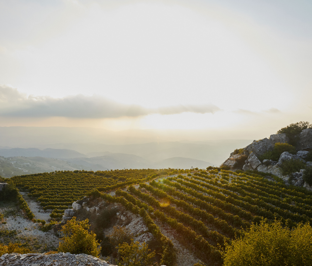 Vouni Panayia