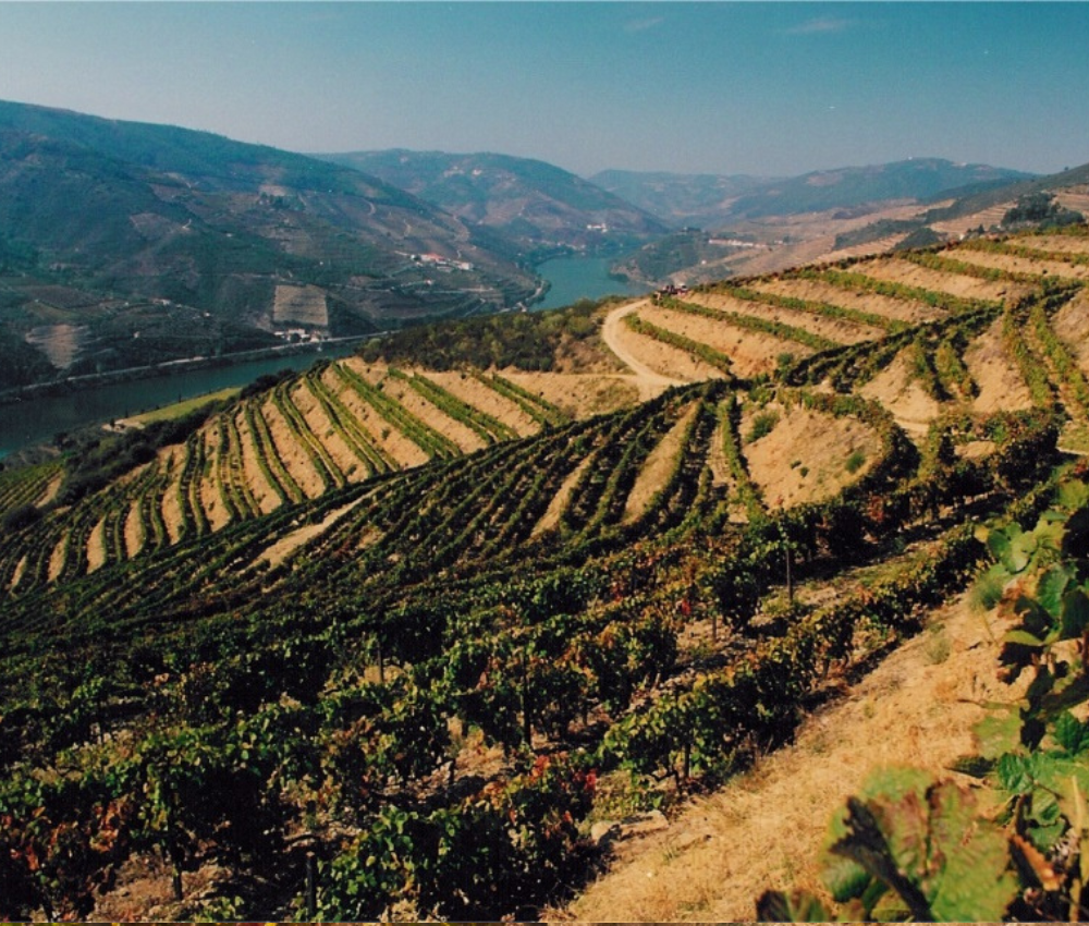 Quinta do Infantado