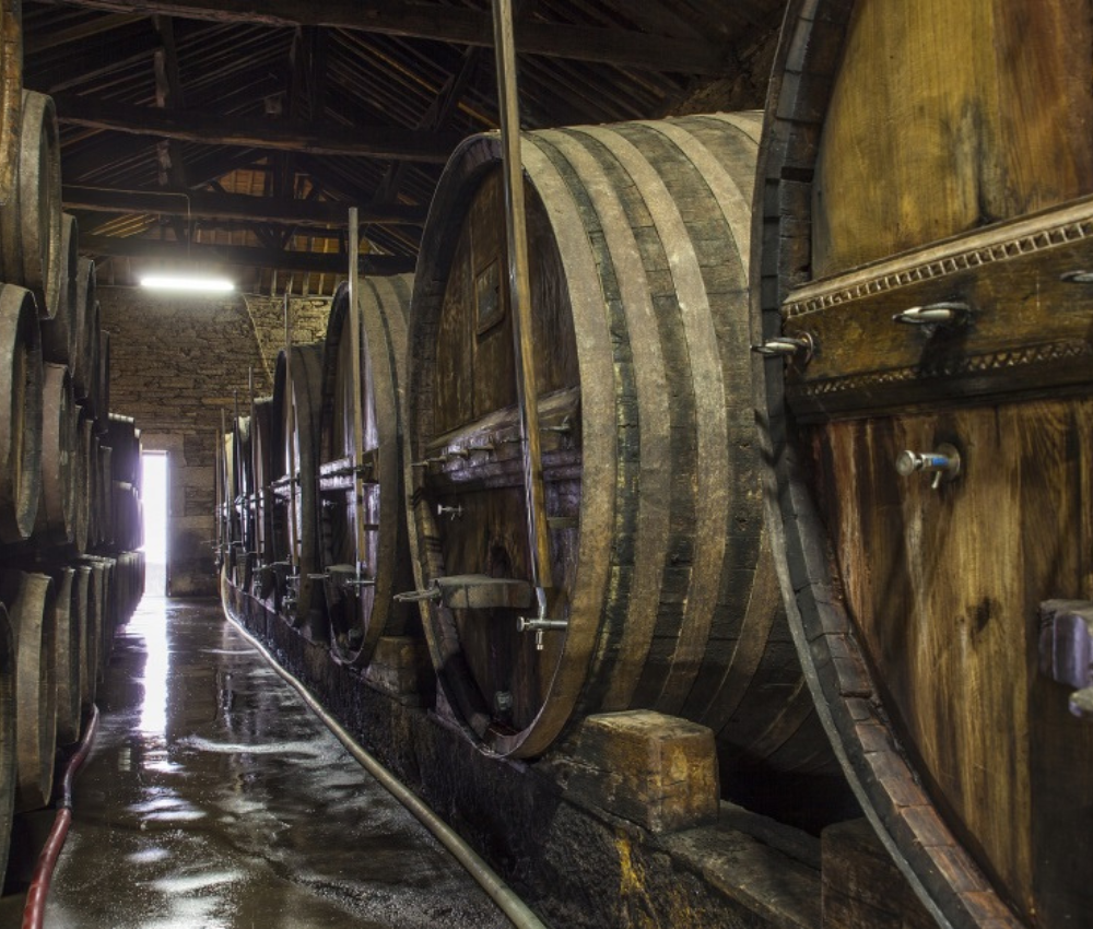 Quinta do Infantado Mr. Vertigo